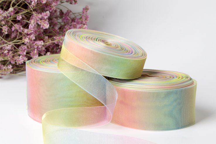 Custom Rainbow Organza Ribbon (3)